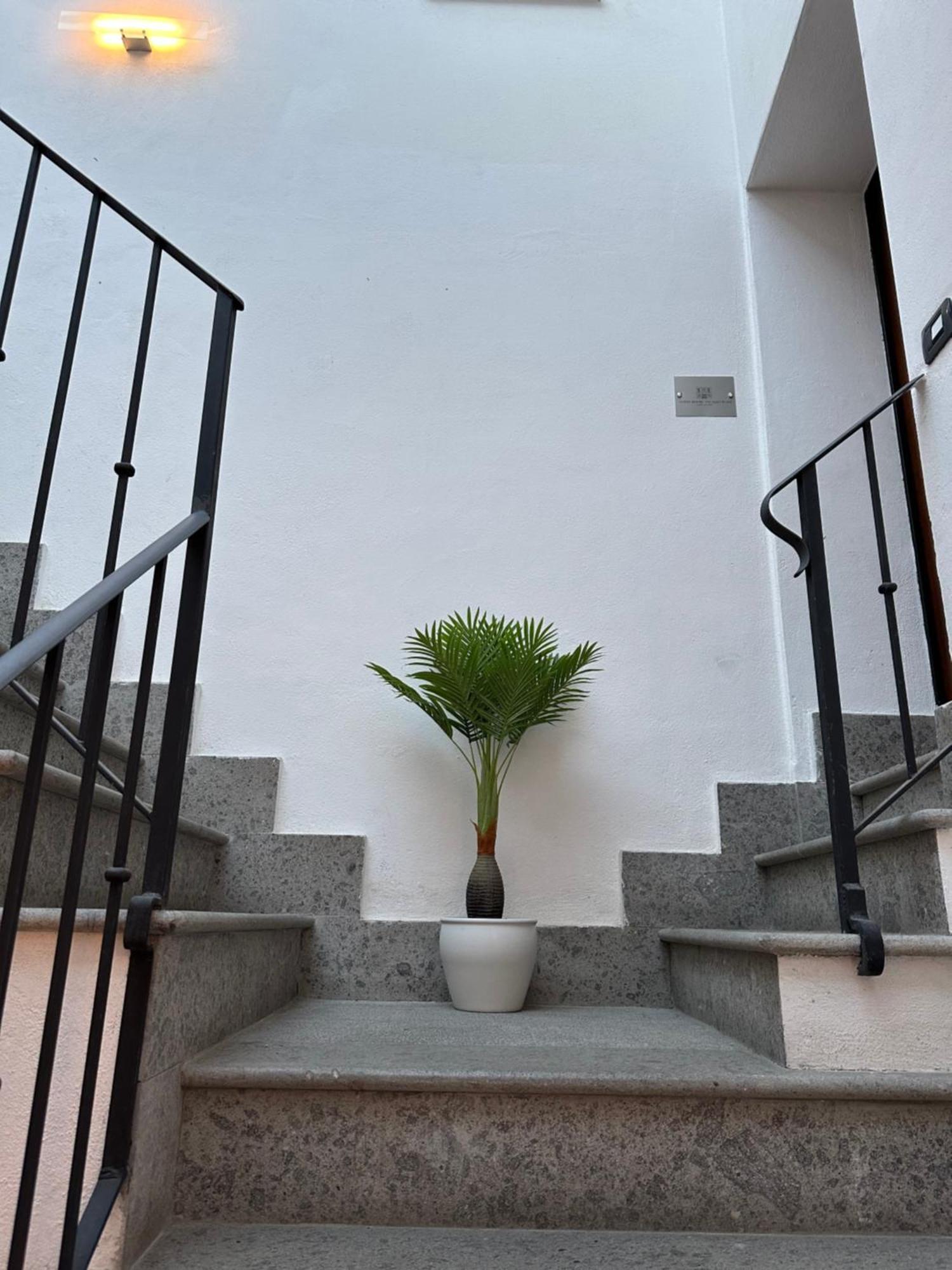 Guest House Palazzo Bussi Βιτέρμπο Εξωτερικό φωτογραφία